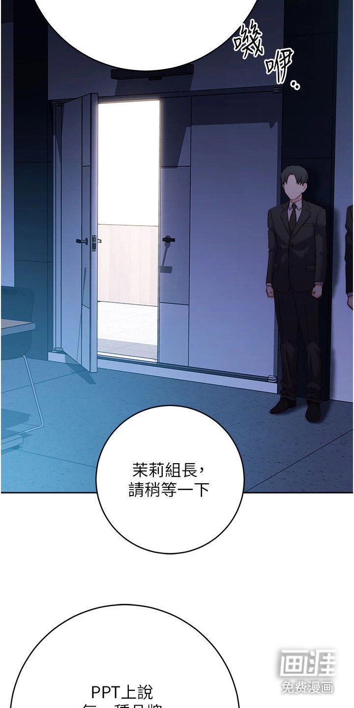 第11章：年度汇报