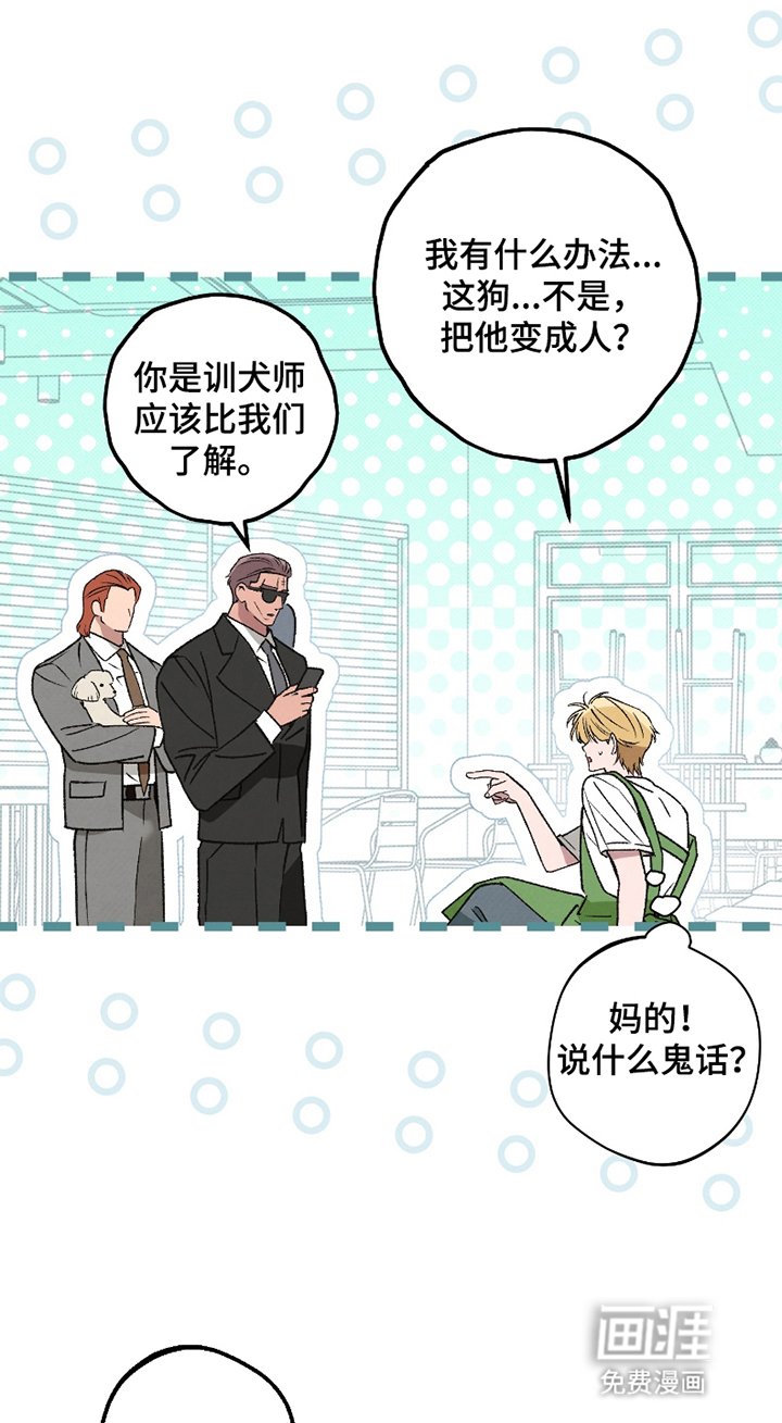 第3章：同意