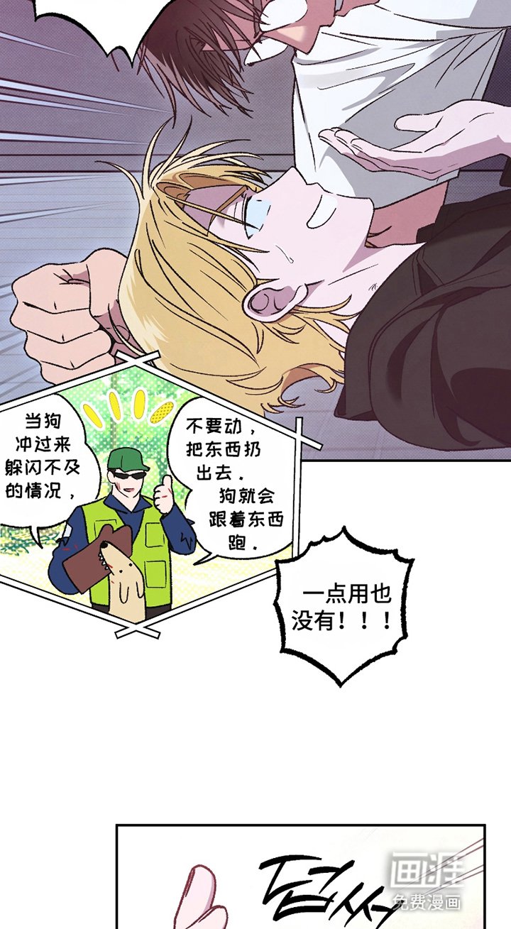 第4章：放开我