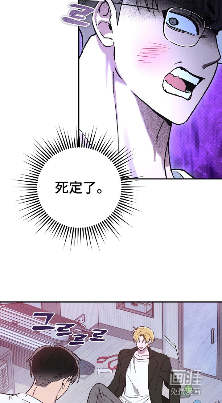 第4章：放开我