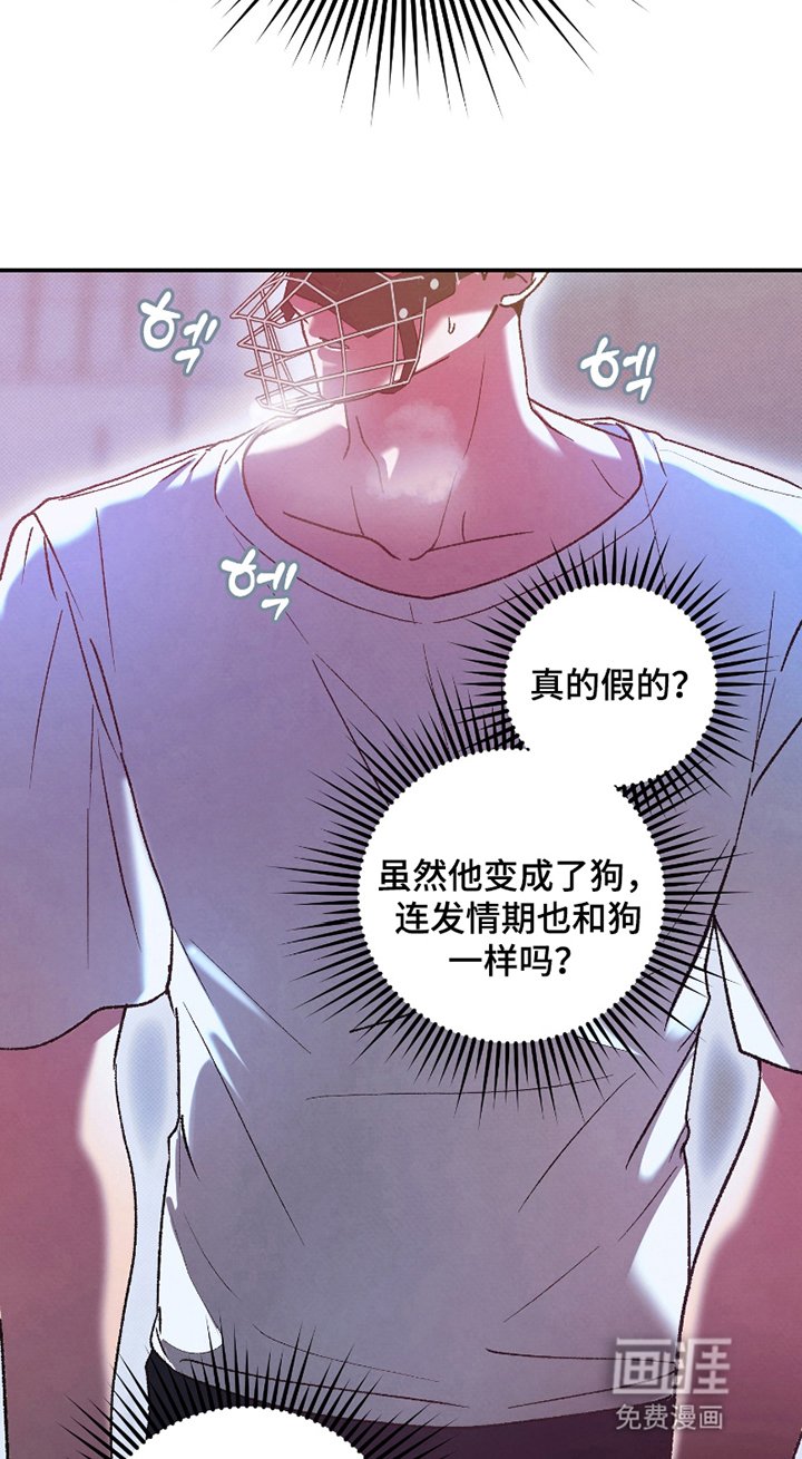 第5章：训练的一环