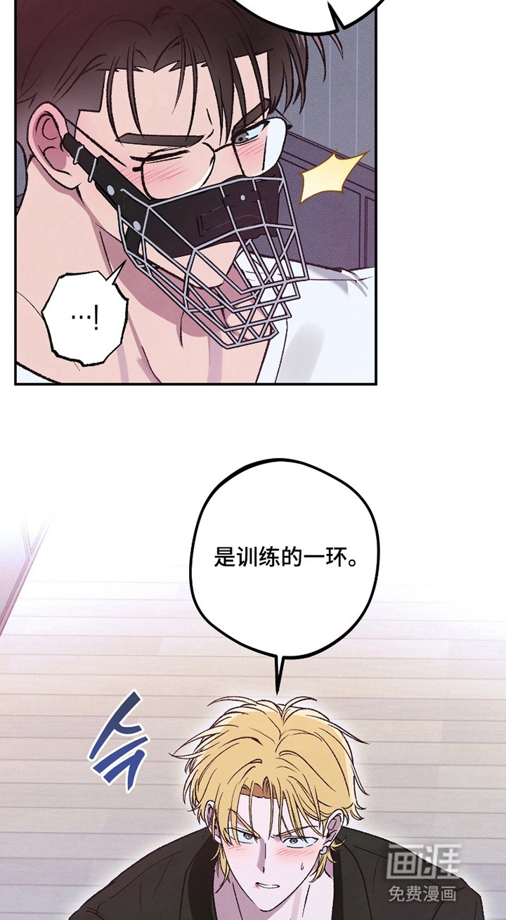 第5章：训练的一环