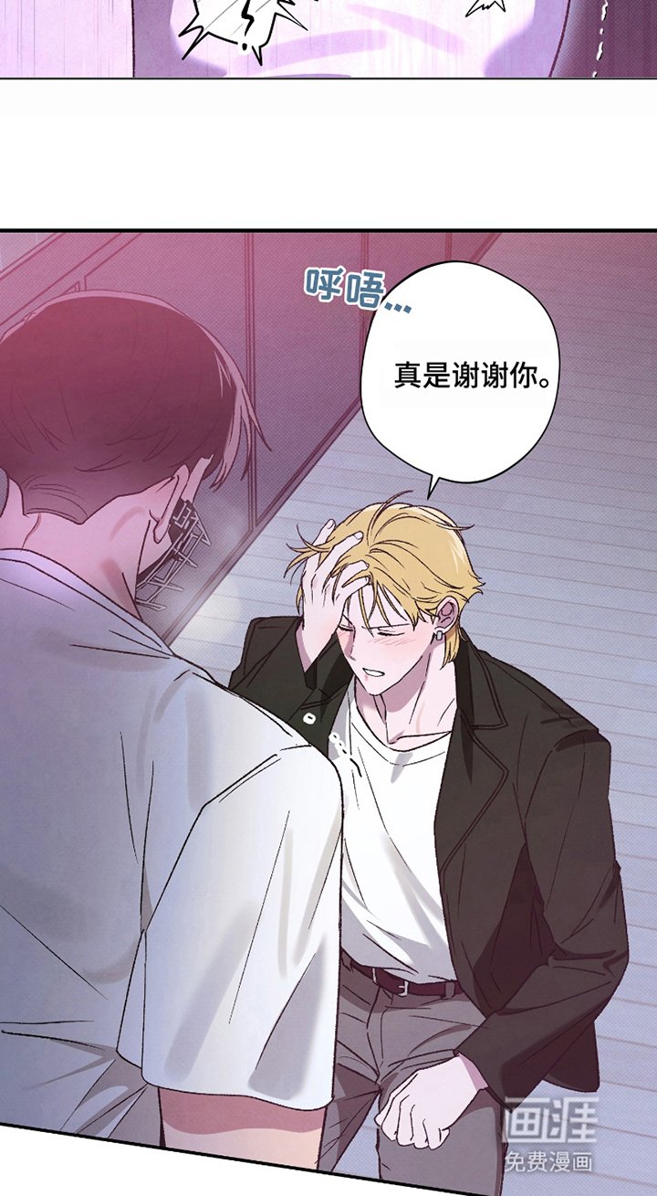 第5章：训练的一环