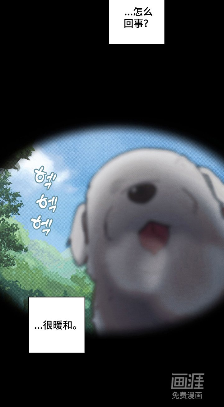 第6章：角色扮演