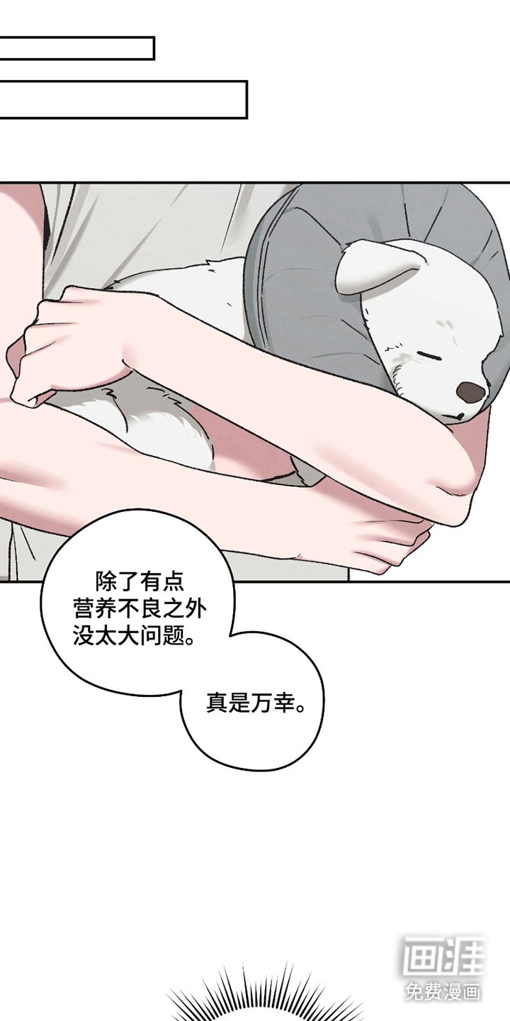 第8章：清醒