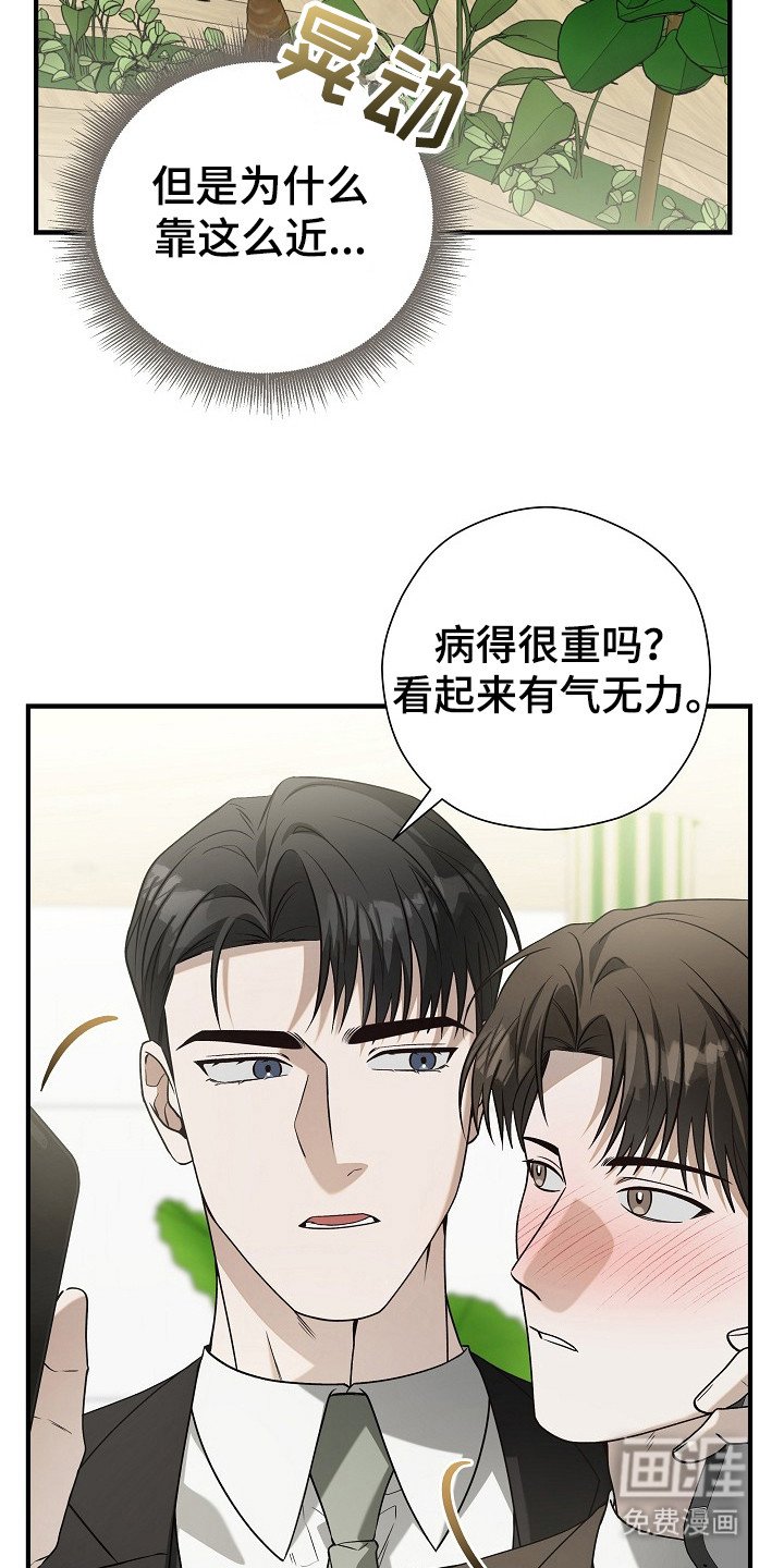 第16章：摸额头