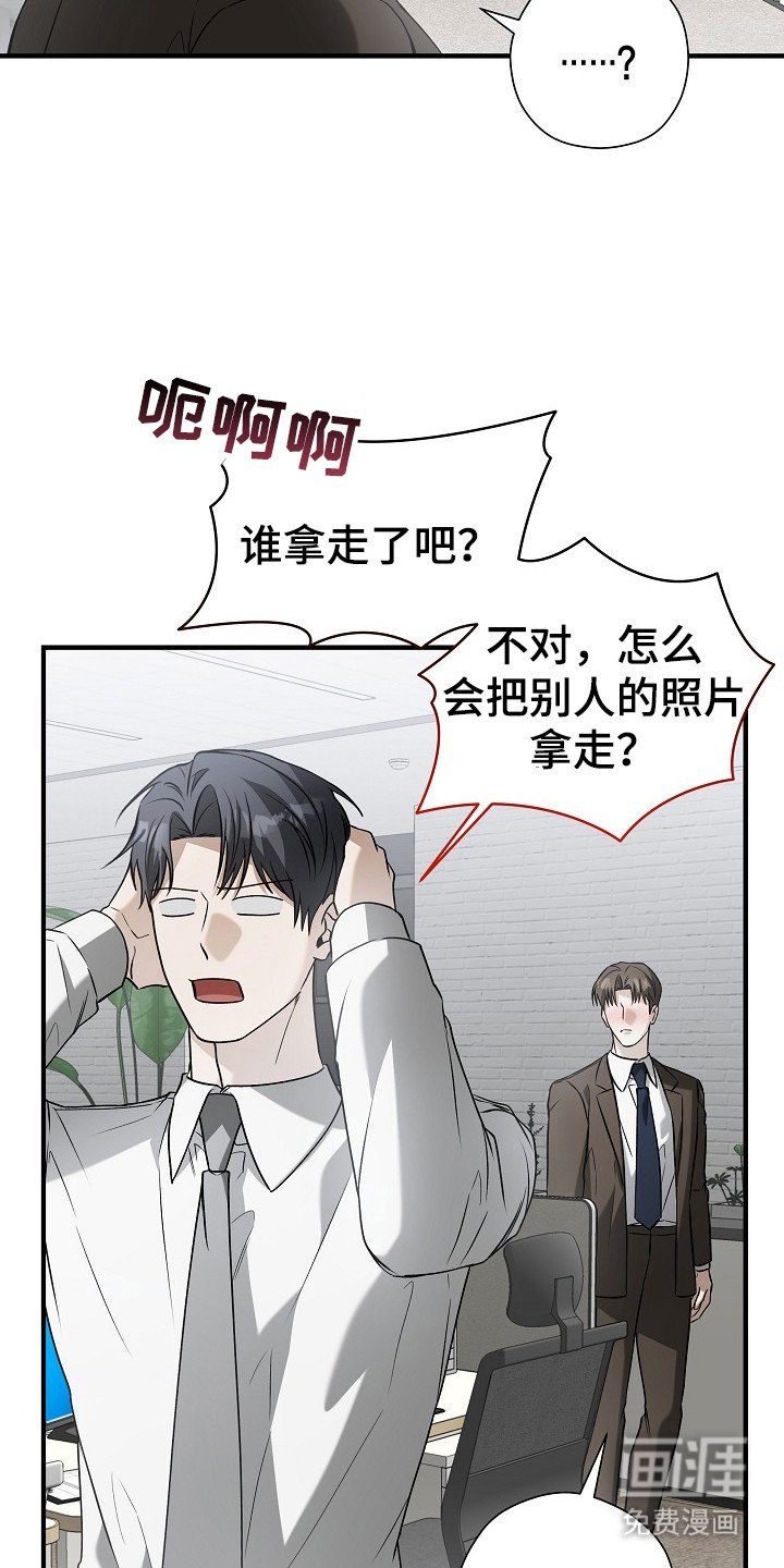 第17章：信息素