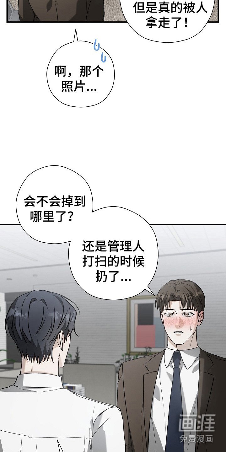第17章：信息素