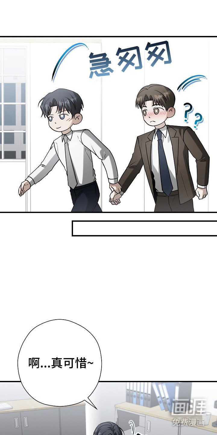第17章：信息素