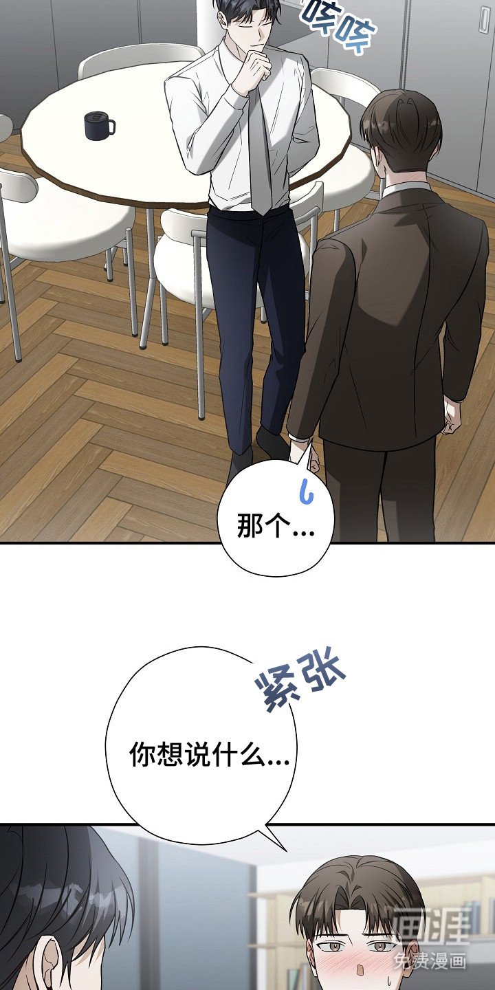 第17章：信息素