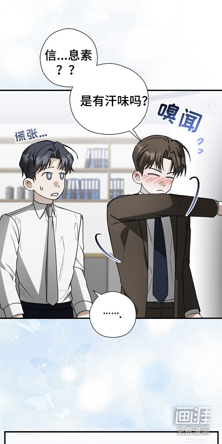 第17章：信息素