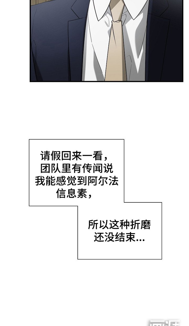 第17章：信息素