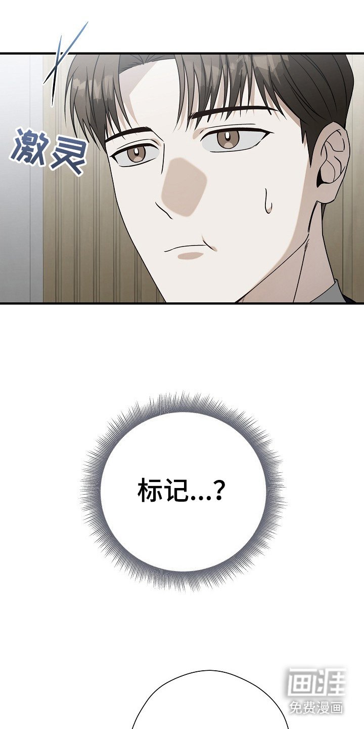 第18章：标记