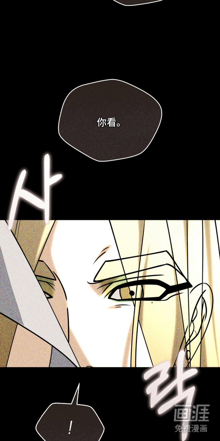 第11章：折断翅膀