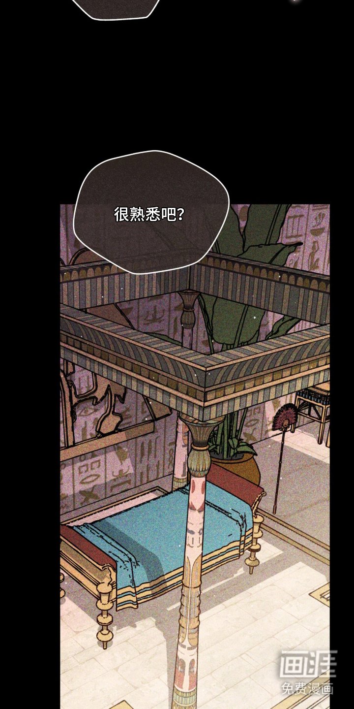 第11章：折断翅膀