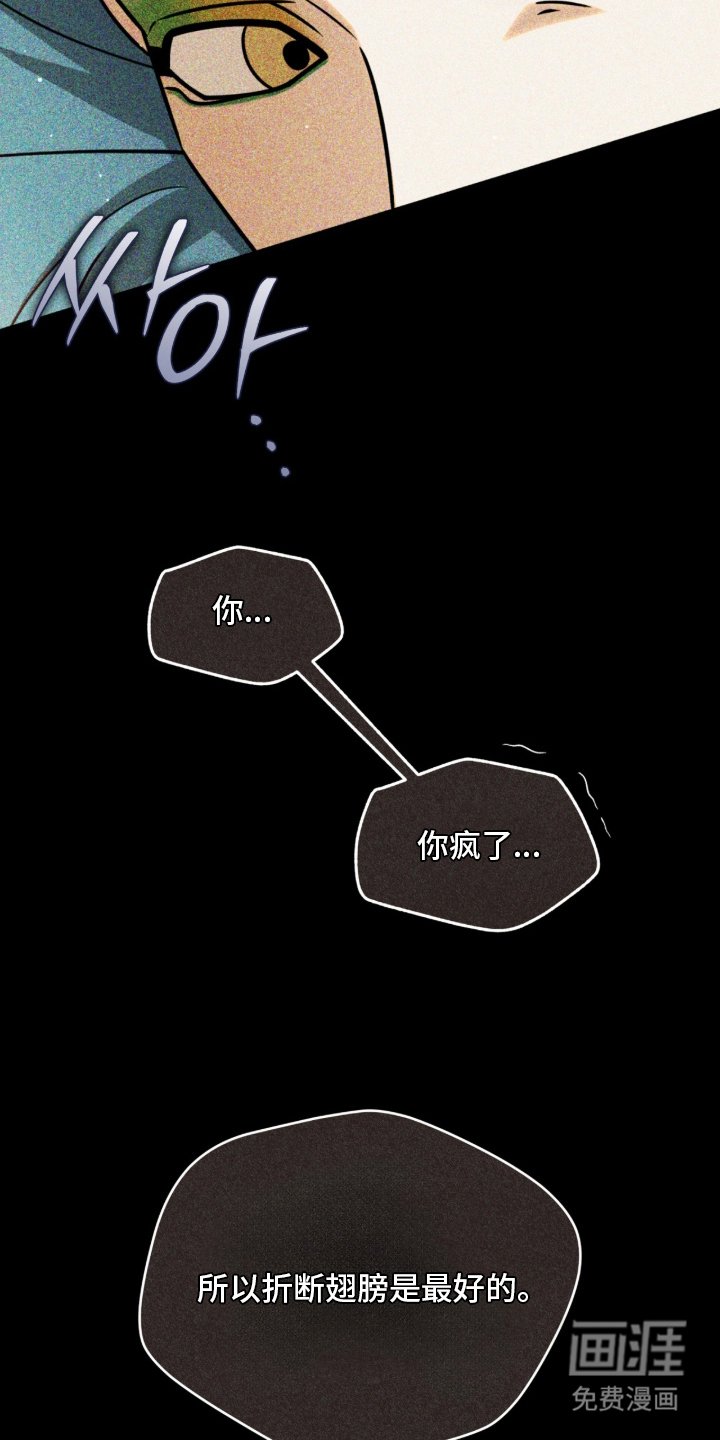 第11章：折断翅膀