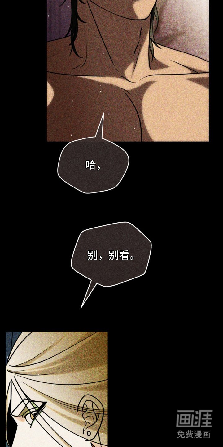 第11章：折断翅膀