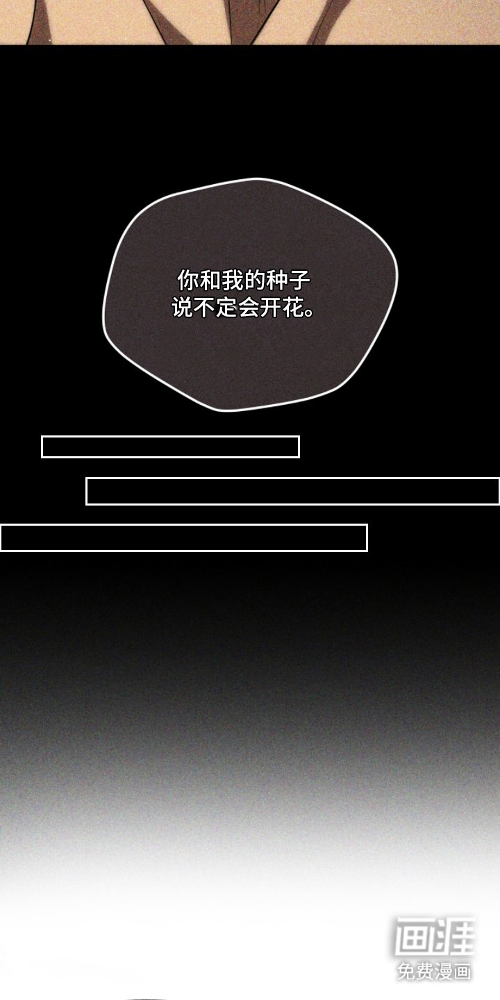 第11章：折断翅膀