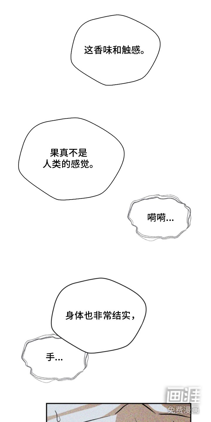 第13章：出手