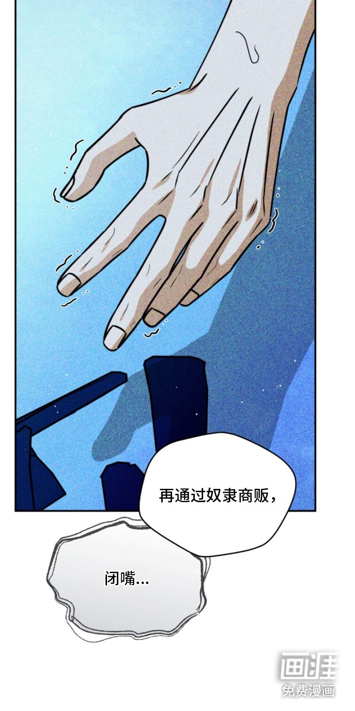 第13章：出手