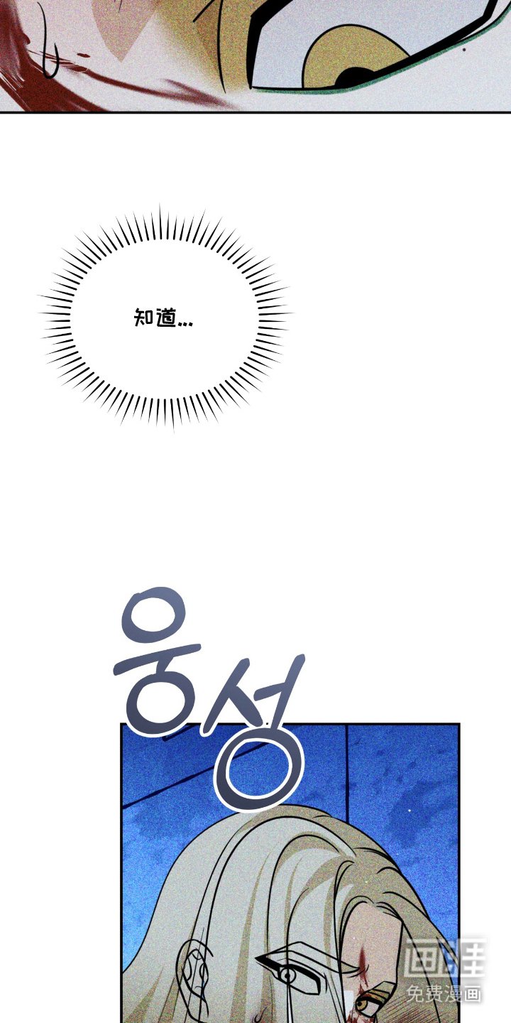 第13章：出手