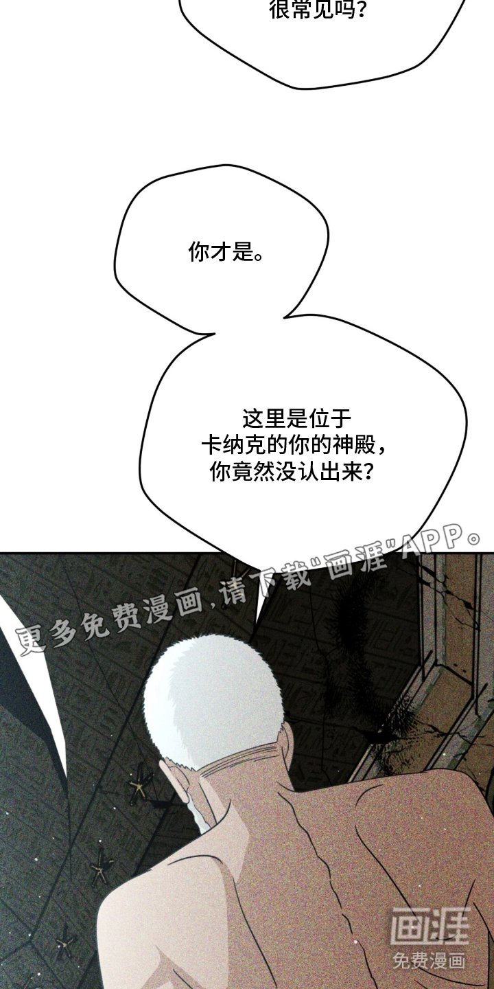 第17章：疯狂的儿子