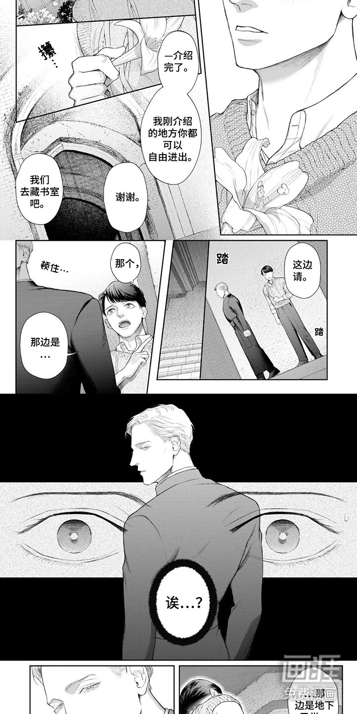 第5章：藏书库
