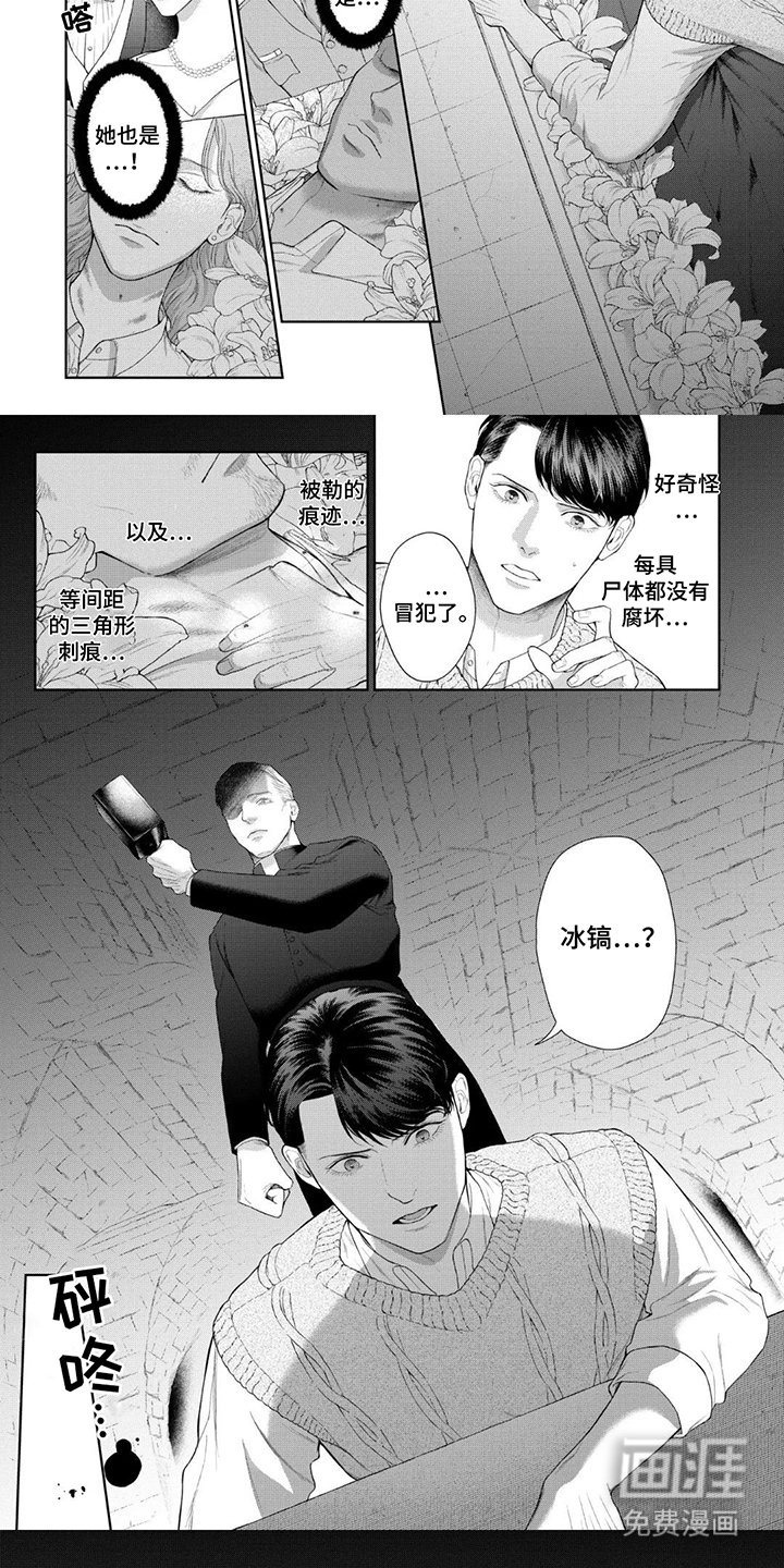 第8章：地下室