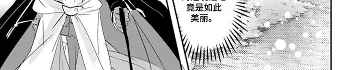 第13章：魔物森林