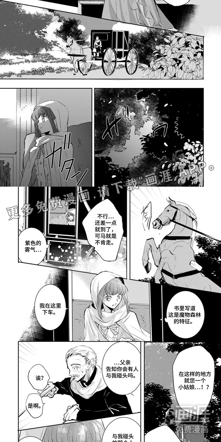 第3章：不朽魔物