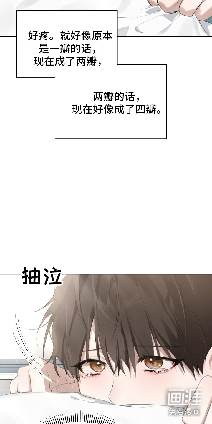 第1章：变了一个人似的