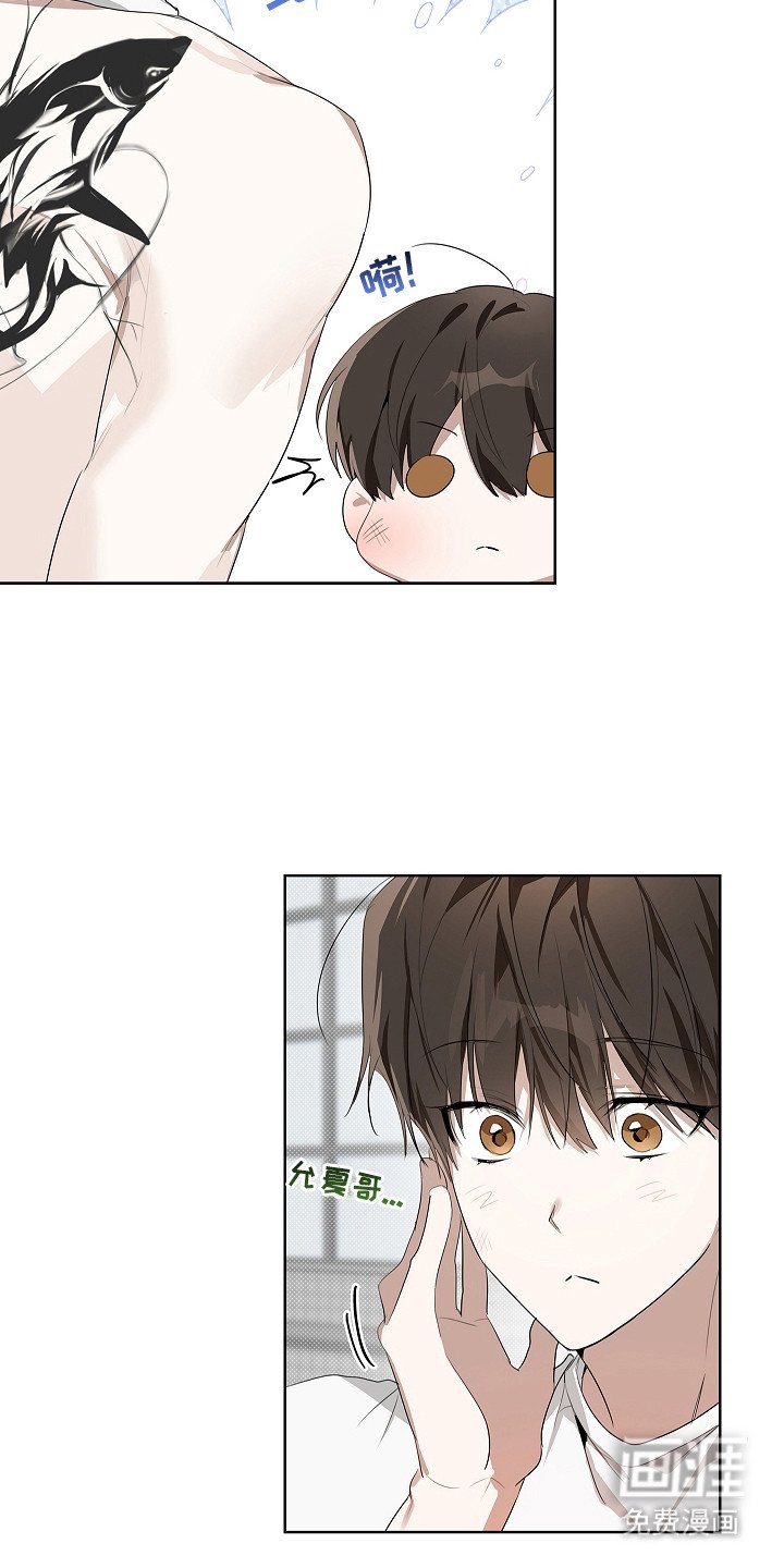 第12章：确认记录