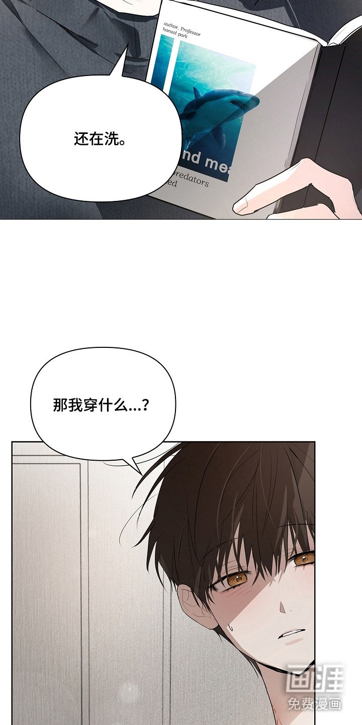第5章：惨不忍睹