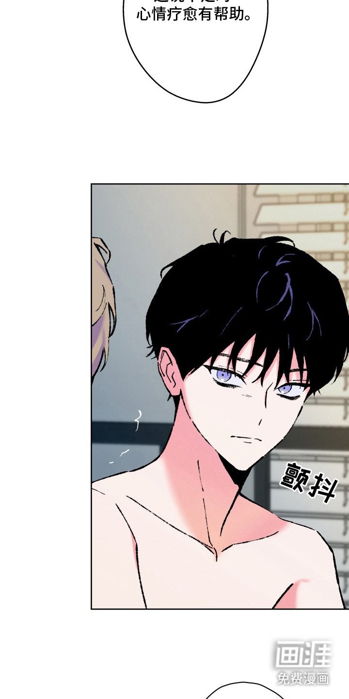 第10章：小提琴