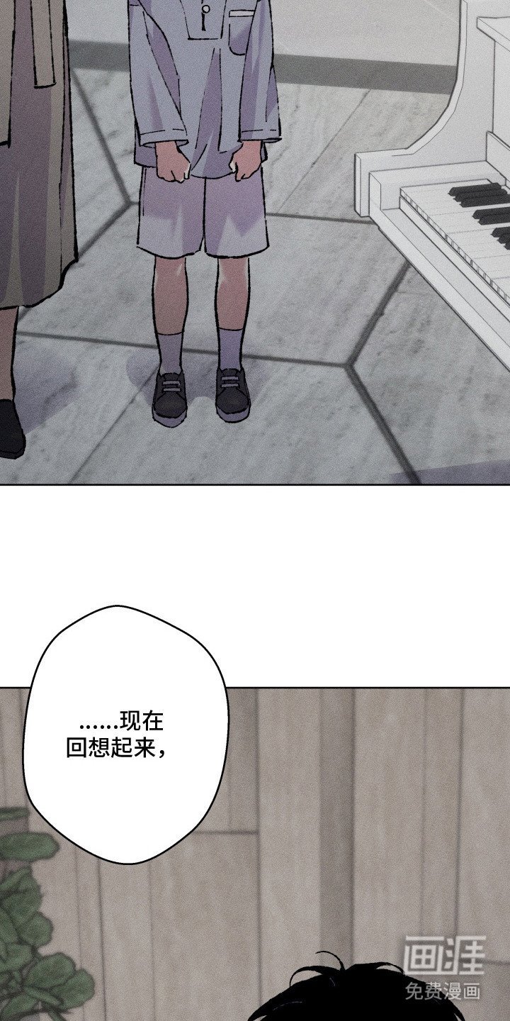 第10章：小提琴
