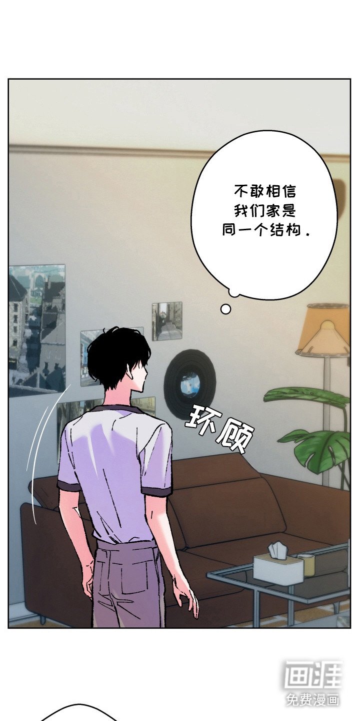 第10章：小提琴