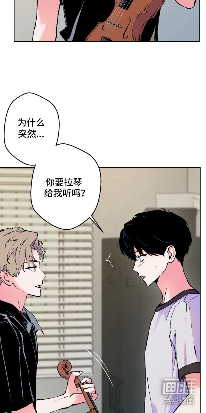 第10章：小提琴