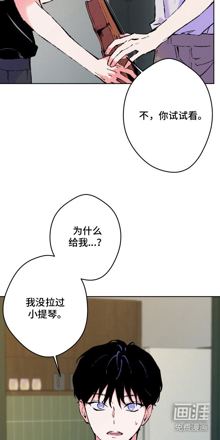 第10章：小提琴