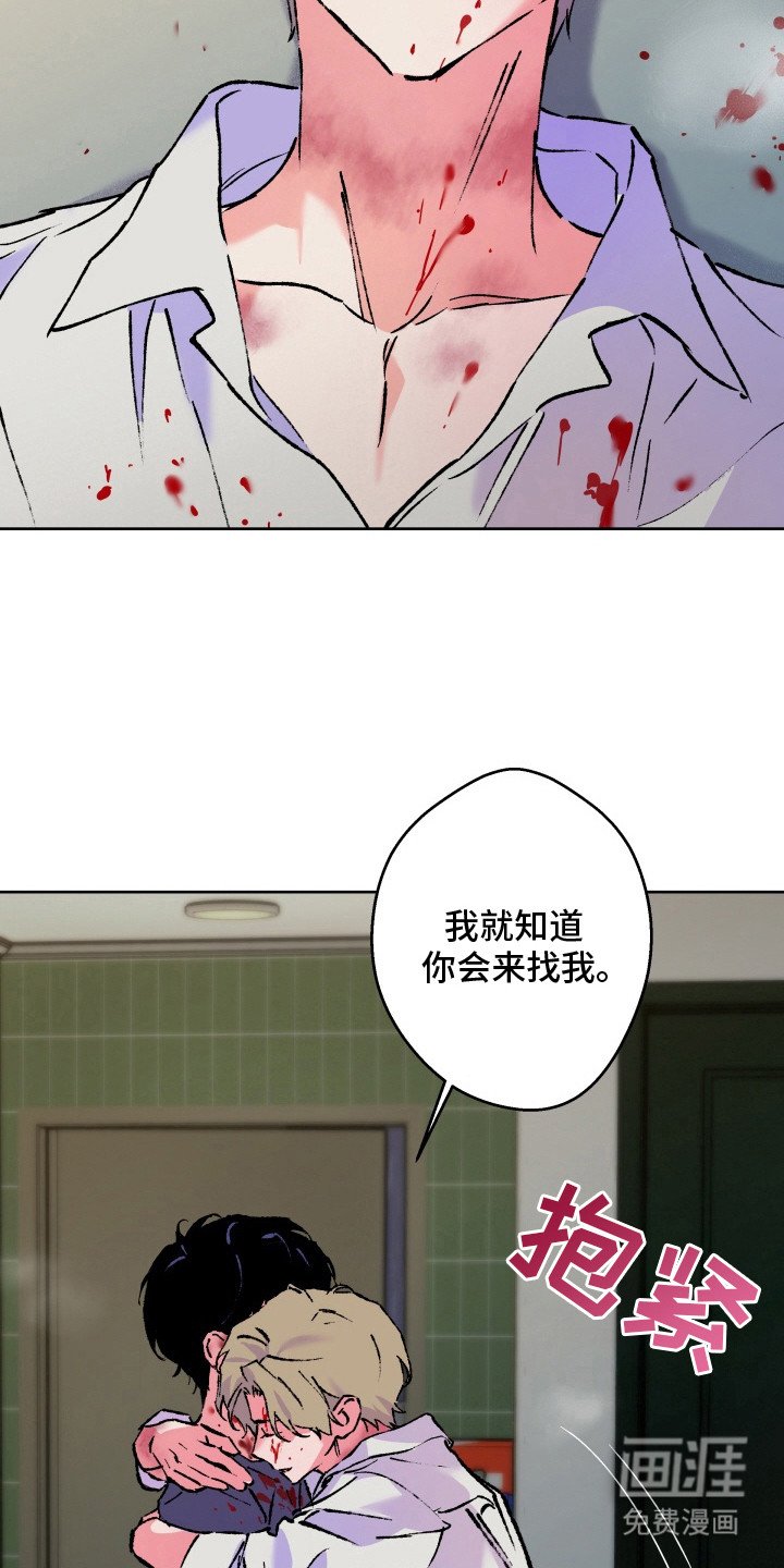 第23章：病态