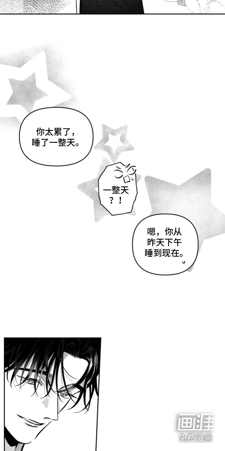 第4章：解释
