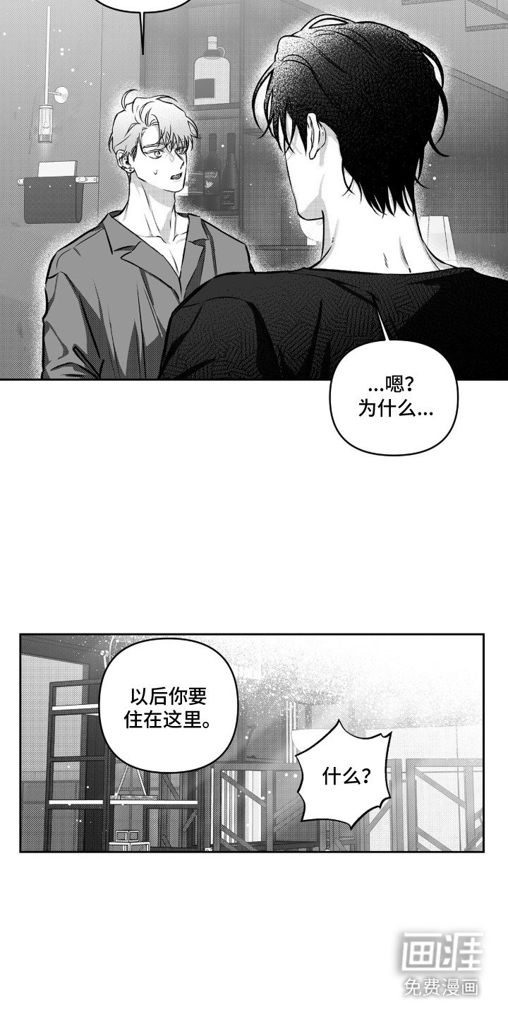 第8章：已读不回