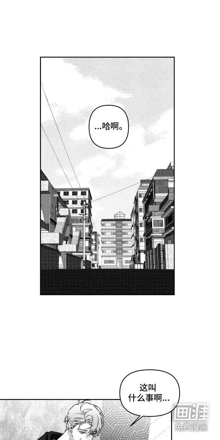 第8章：已读不回