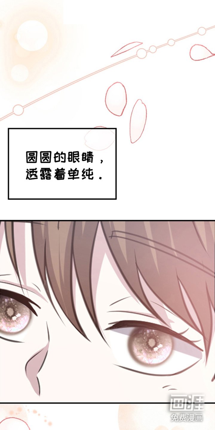 第4章：看起来不错