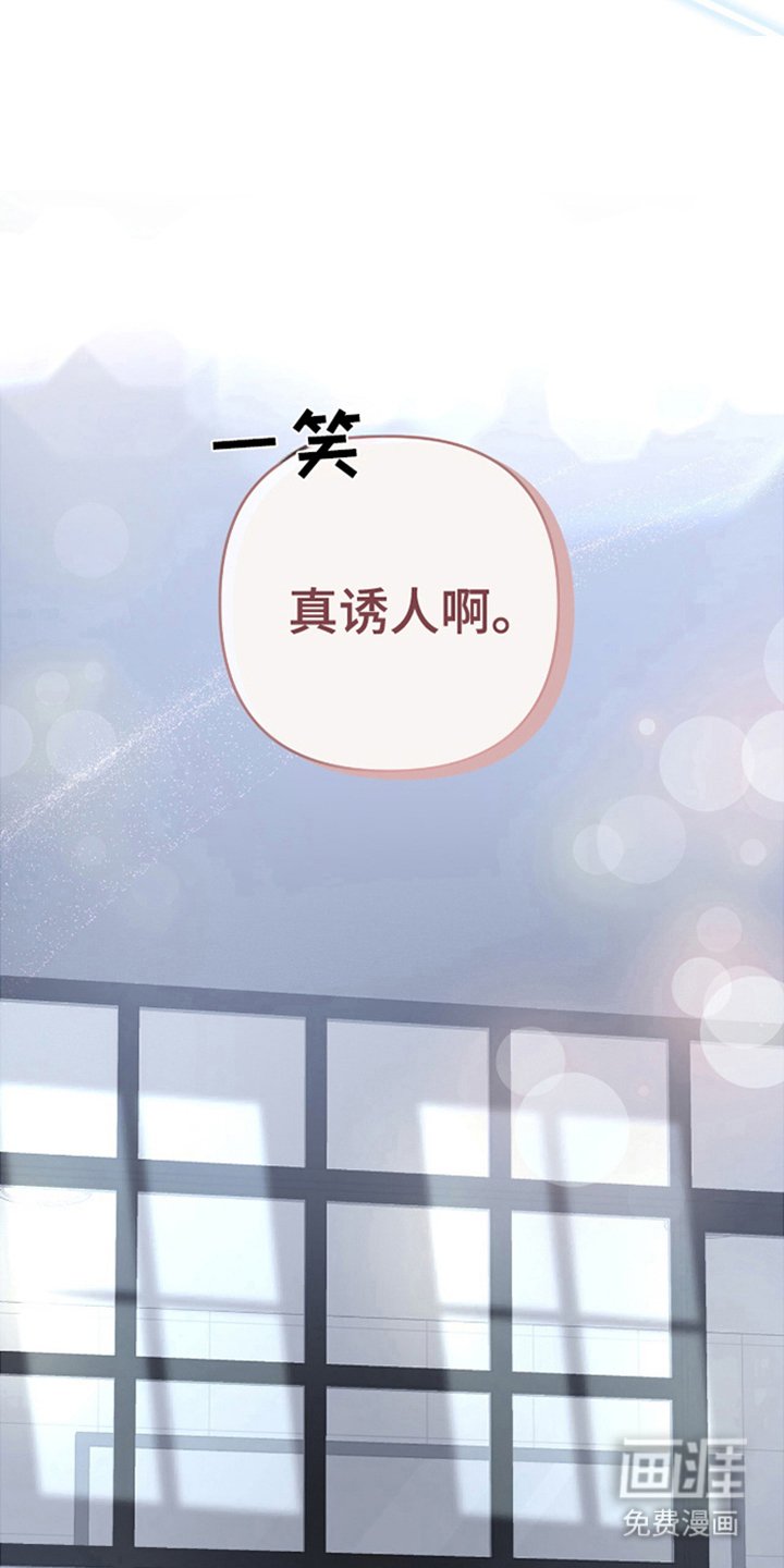 第5章：我们结婚吧
