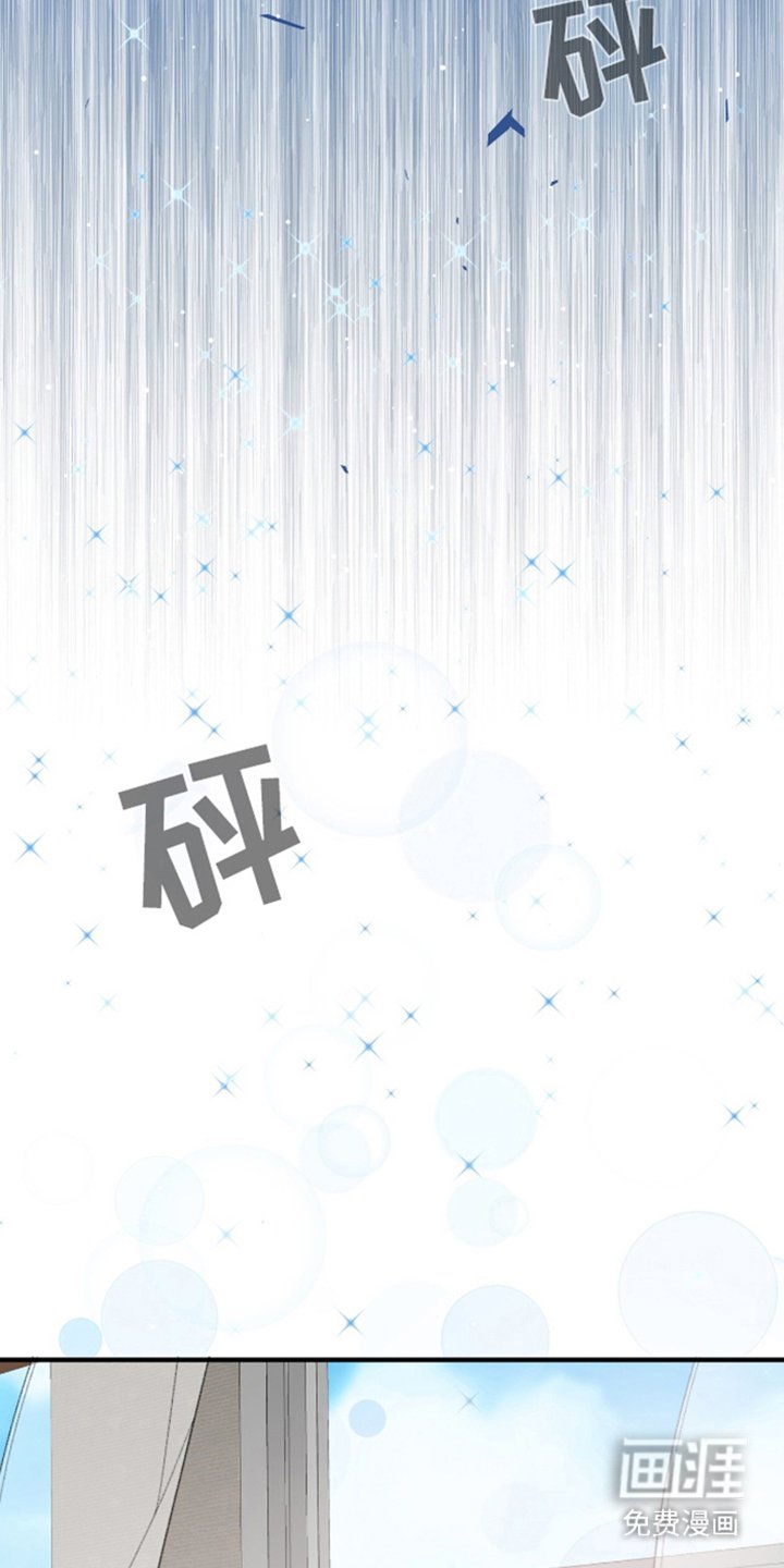 第5章：我们结婚吧