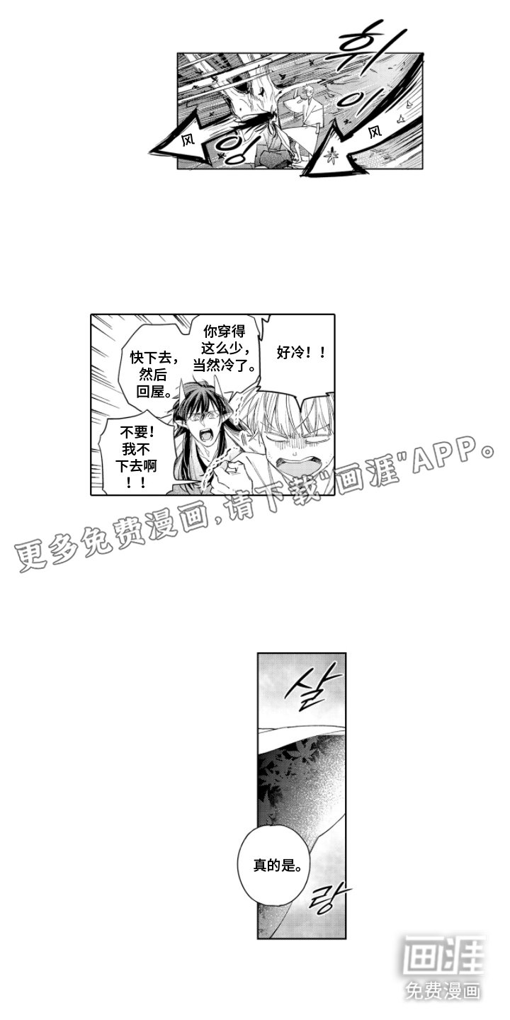 第17章：我的心