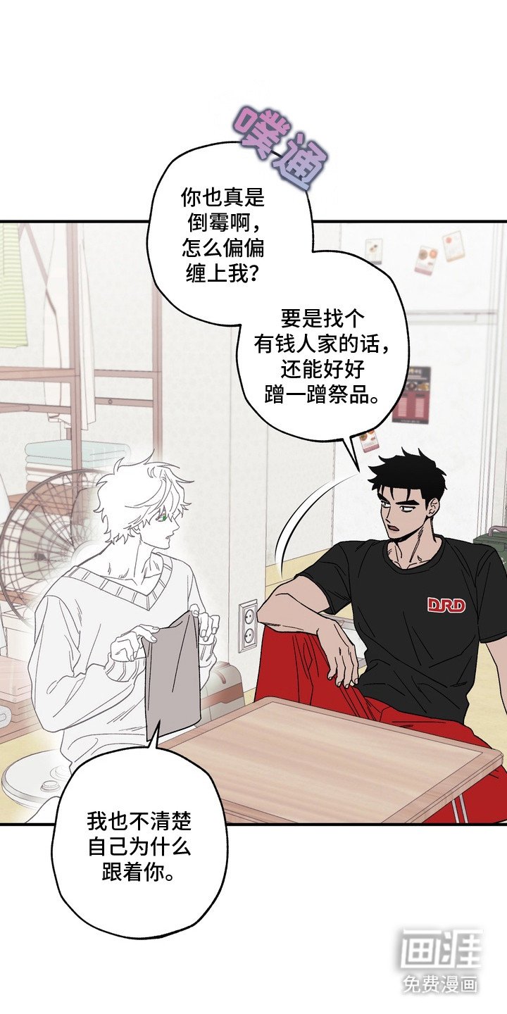 第6章：过意不去