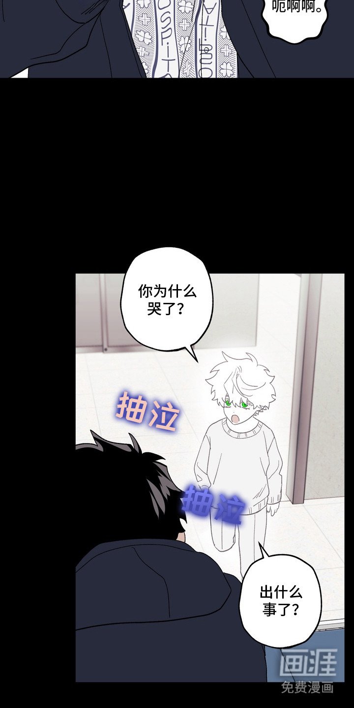 第7章：等了二十年