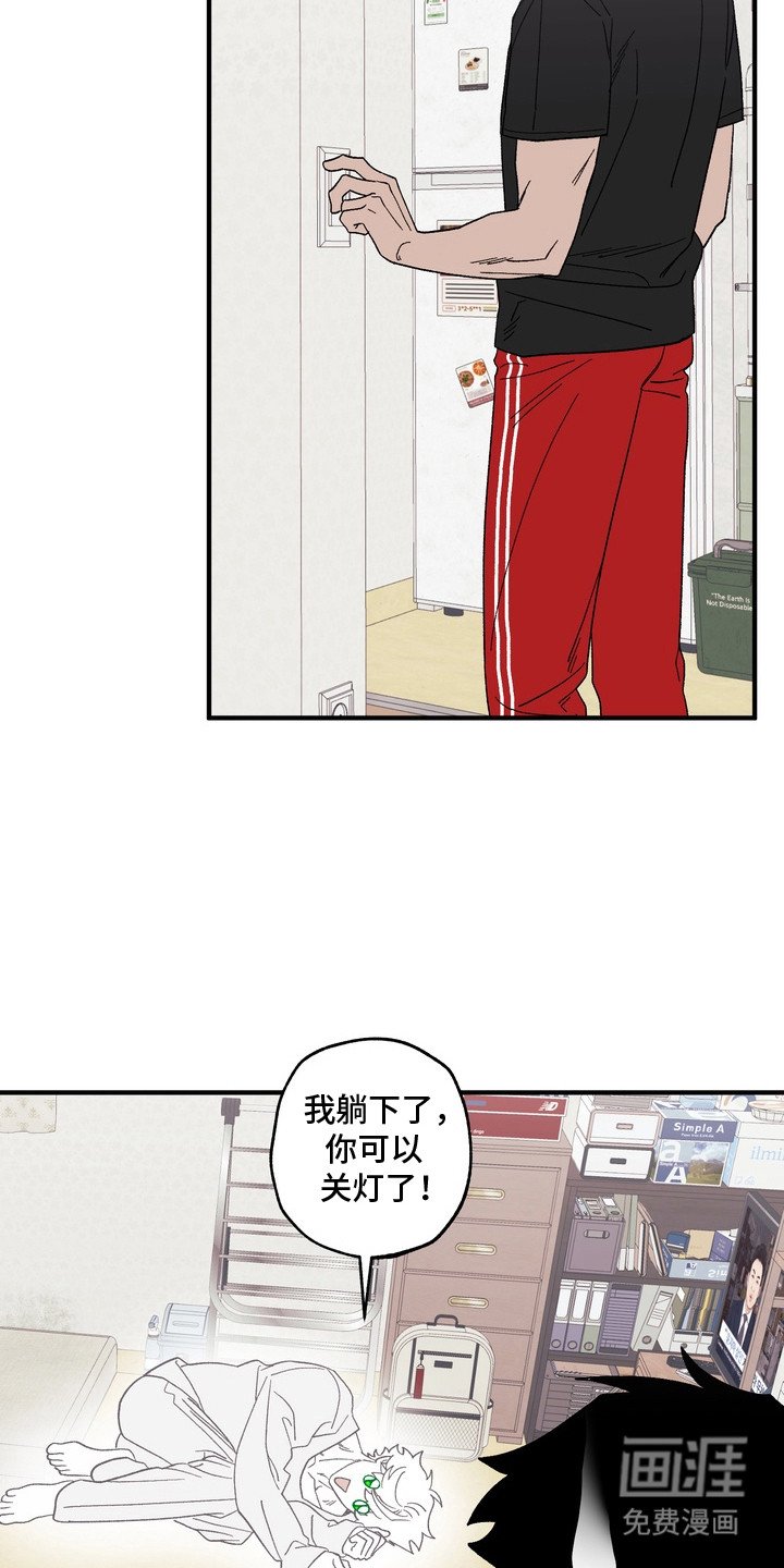 第8章：不见了