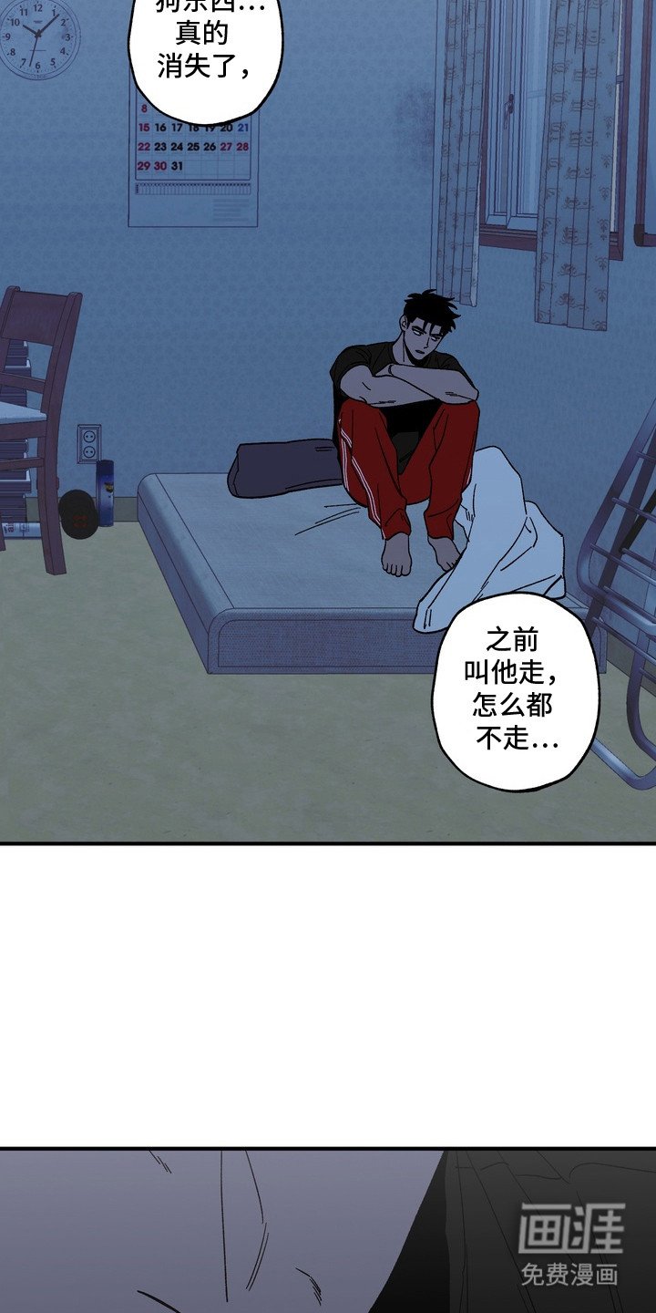 第9章：照片